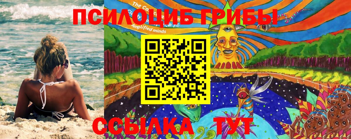 Псилоцибиновые грибы прущие грибы Фролово